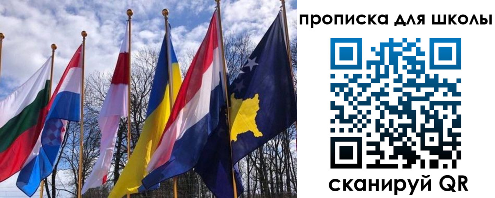 где прописаться в Струнино